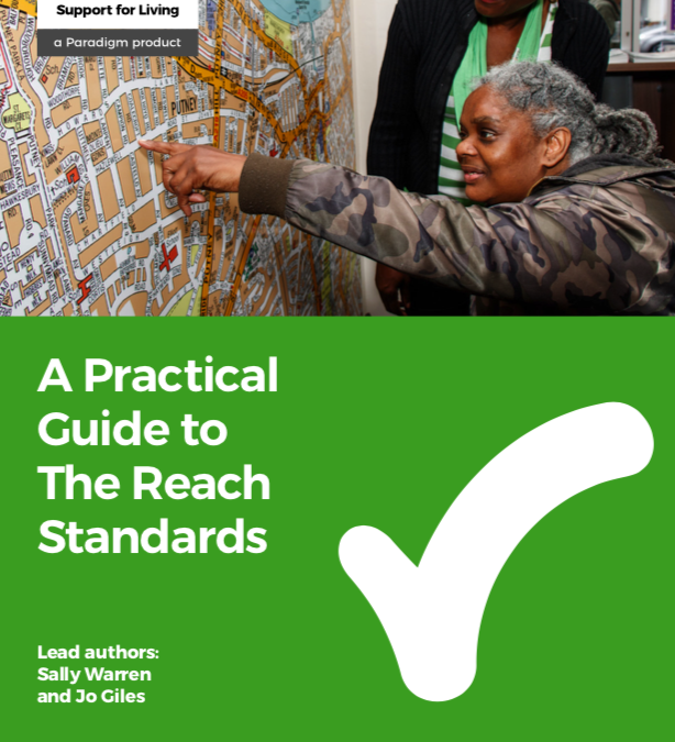 useruploads/Reach-standards-practical-guide-cover-614x675.png
